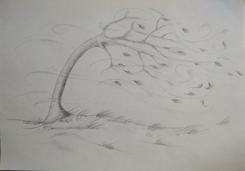 Tips On How To Draw Effect Of Wind With Wooden Pencil